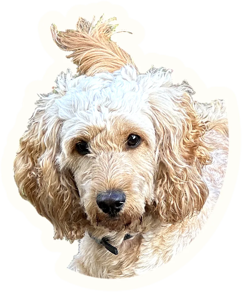 Example sticker: Hype, big eyes