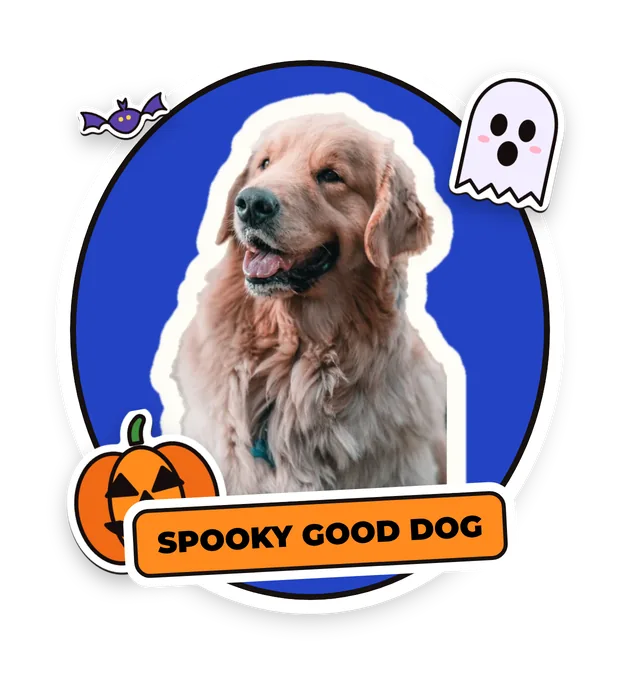 Sample seasonal sticker: a golden retriever with pumpkin, bat and ghost and a SPOOKY GOOD DOG banner