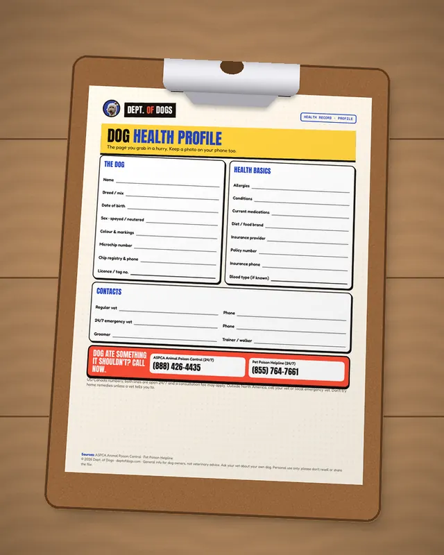 Vet Visit Log & Health Record printed out, on a clipboard