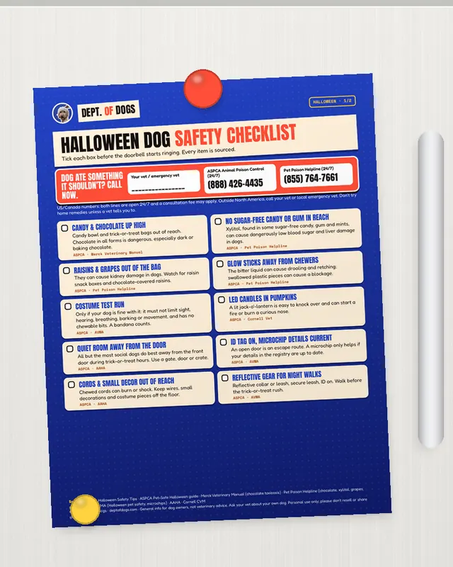 Halloween Dog Safety Checklist printed out, on the fridge