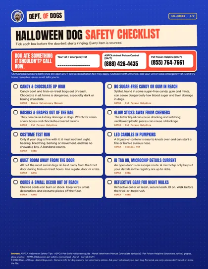 Halloween dog safety checklist preview