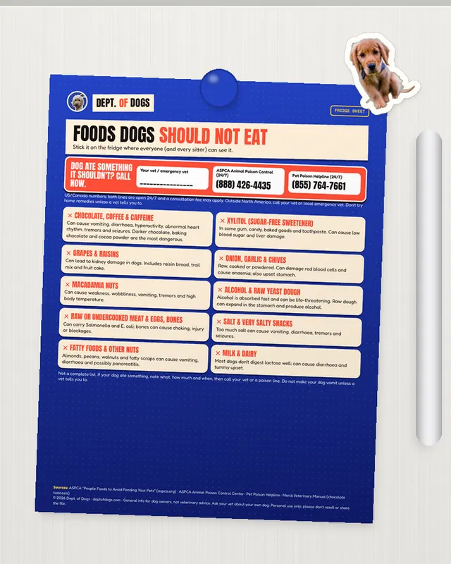 Toxic Foods Fridge Sheet printed out, on the fridge